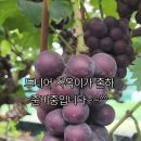 해인들농장 이미지