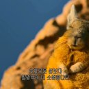 방배천로7-2 이미지