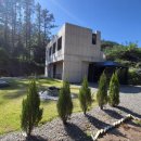 헤윰, 소 이미지