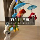 타이니 | 신생아 엄마들의 구원템 ‘타이니모빌’ 리얼 후기 및 사용시기