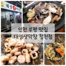 [인천 부평] 막창과 곱창, 뒷고기 맛집 &#39;태영생막창&#39;
