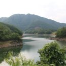 향수100리길 이미지