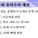 정수와 유리수