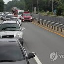 동부-전하-전하-10 이미지