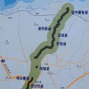 거문오름 용암동굴계 상류동굴군(웃산전굴 북오름굴 대림굴) 이미지