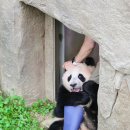 중보1길 이미지