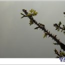 오지농장 이미지