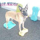 견학생스쿨 이미지