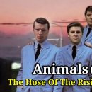 The House of the Rising Sun / Animals 3번 연속듣기 이미지