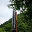 아이랑 놀기 좋은 대구 계곡 놀이터 화원휴양림 다녀온 후기