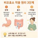 비오에너지 | 비오효소 후기 내돈내산 먹는방법 성분 부작용 다이어트 효능