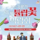 파파스테이크 | 태안 세계튤립꽃박람회 실시간 개화 상황 및 근처 맛집 파파스테이크 직접 후기