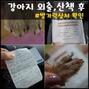 연일읍 미르 | 행복이 병원 후기 :: 강아지 외출· 산책 후 발 확인 필수!