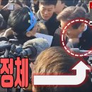 손톱나무 이미지
