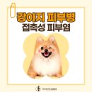 키다리아저씨 동물병원 이미지