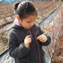 일요농장 이미지