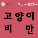 구리동물병원 이미지