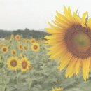 풍요로(서) 이미지