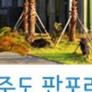 판포바다향기