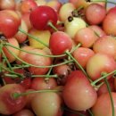 가막골농장 이미지