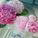 그린팜영농조합법인 이미지