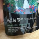 산삼배양근 효능 큐로삼 발효흑산삼 선물세트 후기