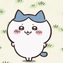 (주)네잎 이미지