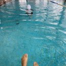 시그니엘 서울(SIGNIEL SEOUL) | [서울여행] SIGNIEL SEOUL 시그니엘 서울 호텔