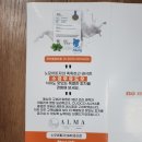 노모어피자DMC