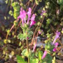 송촌2리 마을회관 이미지