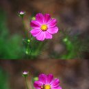 에이치gallery