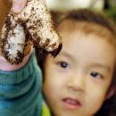 나비공간 이미지