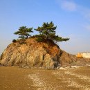 청포대해수욕장 이미지