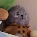 금산 아이파크 새마을 작은도서관 | 2월둘째주!!(?)