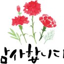 싱싱회마차 이미지
