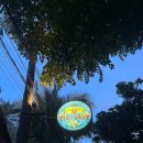 발리 길리 트라왕안 현지인 타코 맛집 " Tiki Grove ( 티키 그로브 ) " 피쉬타코 • BBQ 타코 솔직후기