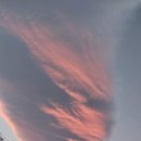 원규농장 이미지