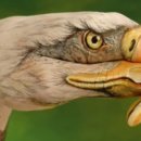 MUSCLE UP STORY | 커버곡에 능한 카렌 카펜터... 카펜터즈의 커버곡들 02