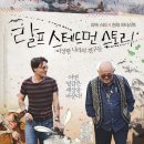 스테이로스터스 이미지