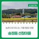 선창농촌체험휴양마을
