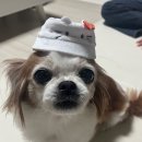 냠냠 이미지