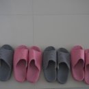 와우펜션2 이미지