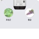 워시앤카페