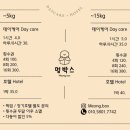 멍박스 이미지