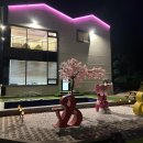 네온키즈펜션 이미지