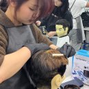 미용고수 이미지