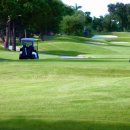 스타CC(회원제) 이미지