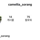 성산 동백소랑 이미지