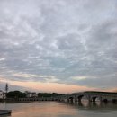 꽁시파차이 이미지