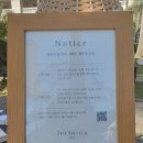 서귀포시 직장 밴드 데이 | 겨울 제주 호캉스 | 제주신라호텔 수영장&amp;디럭스 카바나 리얼 후기